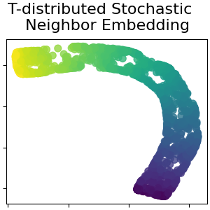 T-distributed Stochastic    Neighbor Embedding