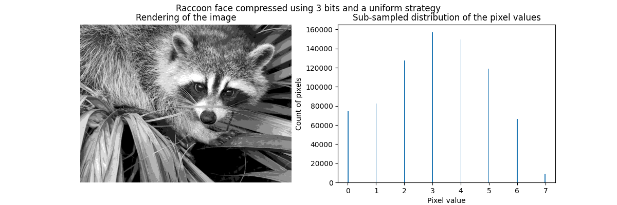 Raccoon face compressed using 3 bits and a uniform strategy, Rendering of the image, Sub-sampled distribution of the pixel values